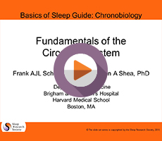 Fundamentals of the Circadian System