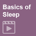 Basics of Sleep Online Basics of Sleep Presentation Series, 2016