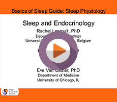 Sleep and Endocrinology