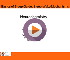 Neurochemistry of Sleep