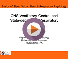 CNS Ventilatory Control and State-Dependent Respiratory Disorders