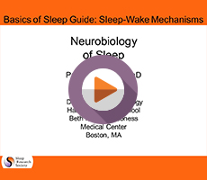 Neurobiology of Sleep